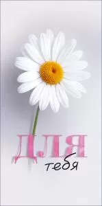 ыв