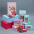 Коробка прямоуг Котики №6 22*14*8.5 см рис микс 1 шт