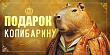 Серия 70.572 конверт для денег