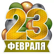 Серия 64.923.00 подвеска