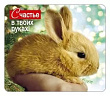 Серия 15.16.01541 магнит