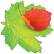 Серия 3001295 украшение на скотче 14,6*14,6 см