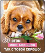 Магнит В этом мире большом... (серия 51.56.292) 1 шт