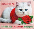 Магнит Посмотри... (серия 51.56.137) 1 шт