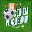 Салфетка Веселая Затея Футбол С ДР 33 см 12 шт