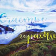 Бумага глянцевая Летняя 70*100 см 1 шт
